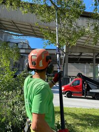 blog 4