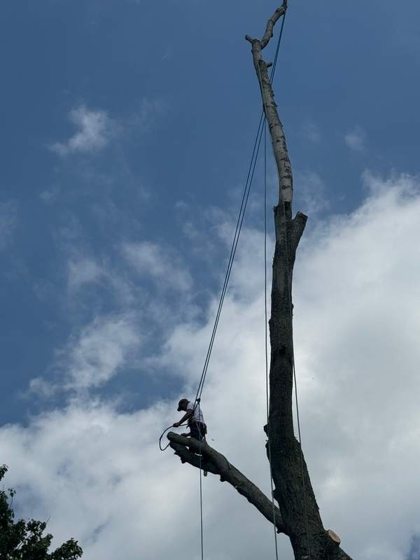 img-0737