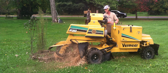 tree-service-cleveland-11