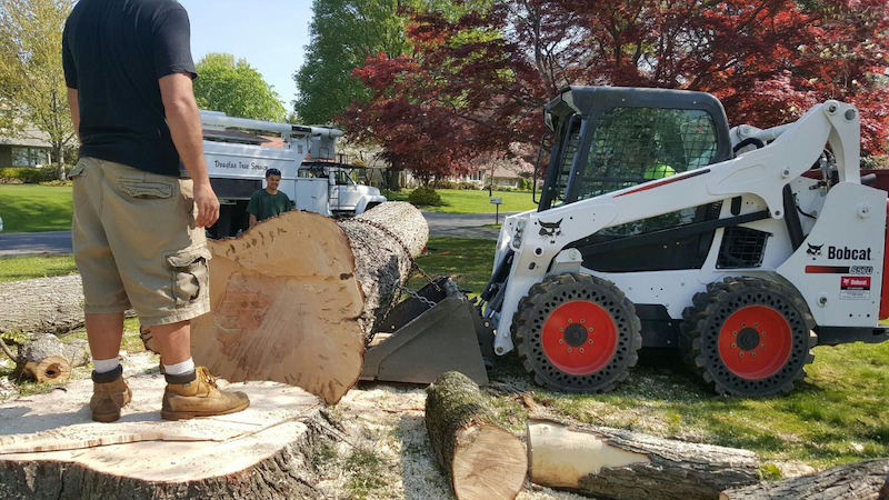 tree-service-cleveland-12_orig